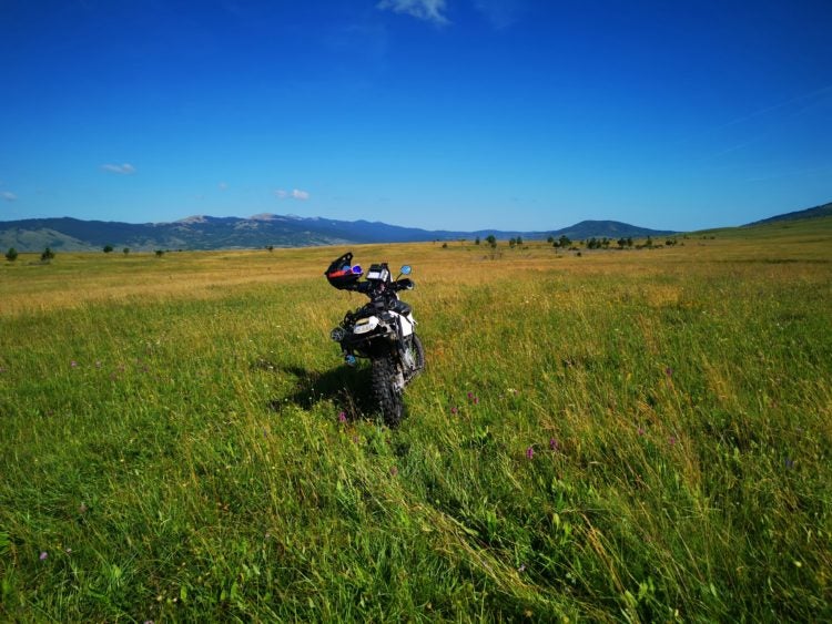 Riding Bonsia