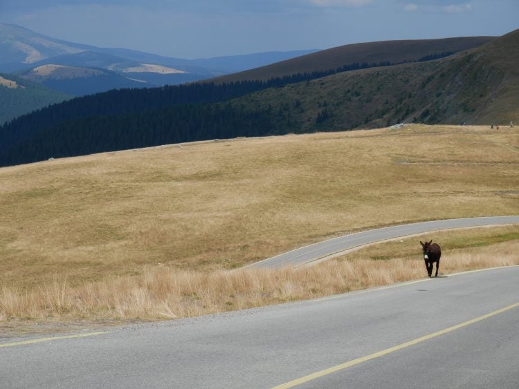 Off-Road Riding in Transylvania: Training Tour Review