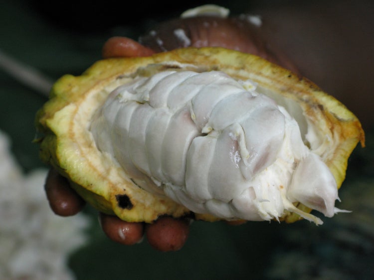 Adventure Travel in South America: Ecuador's Hidden Gems