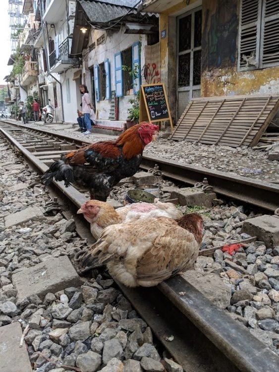 No Train = No Tourists (Source: Lost Cartographer