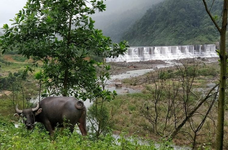 Water Buffalo. Waterfall. Water everywhere. (Source: Lost Cartographer)