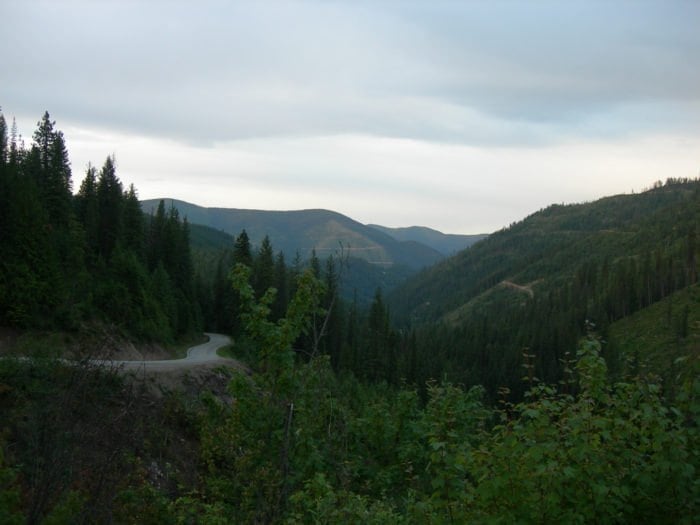 Coeur d'Alene National Forest