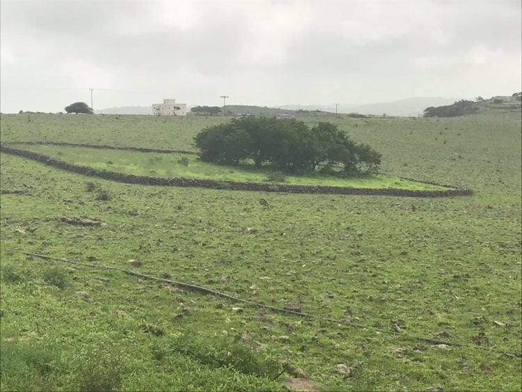 Mist covered hills and lush green countryside.