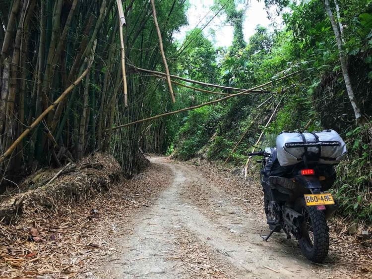 Bamboo corridors line the path beyond the La Victoria coffee roaster. -Janelle Kaz