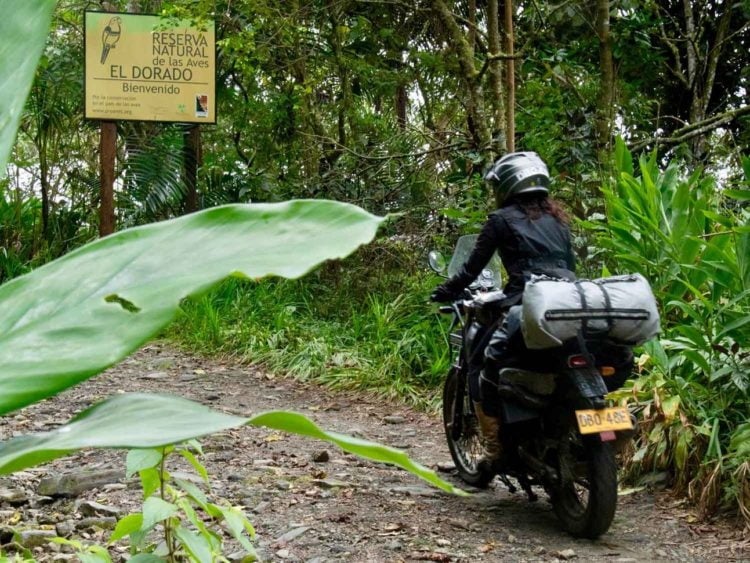 The entrance of the El Dorado Bird Reserve, covering nearly 2,000 acres, ranging in altitude from 900 to 2,600 meters and with a high number of endemic species of flora and fauna which are threatened with extinction. -Janelle Kaz