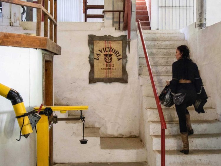 Finca La Victoria, established 1892 in the northwestern slope of the Sierra Nevada de Santa Marta. -Janelle Kaz