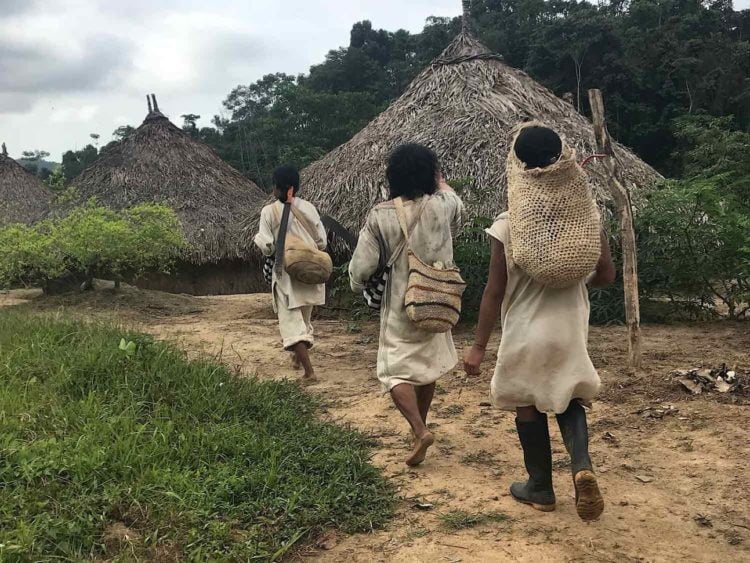 Led through Kogi territory and their traditional village by Mama Jose Miguel, a Kogi spiritual leader and wildlife conservationist. -Janelle Kaz